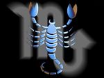 Profil (MasterScorpion)