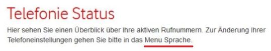 Menue_Sprache.jpg