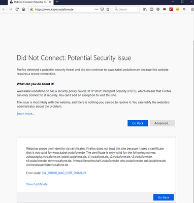 2020-11-26 18_43_40-Did Not Connect_ Potential Security Issue — Mozilla Firefox.png