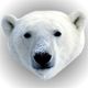 Profil (der_dingo)