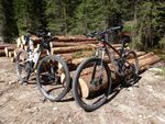 Profil (Biketools)