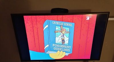 Im Fehlerfall die Box per Fernbedienung eingeschaltet und das unterbrochene Programm ist wieder zu sehen.