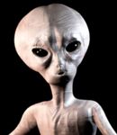 Profil (johnnydoe82)