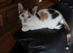 Profil (hermina57)