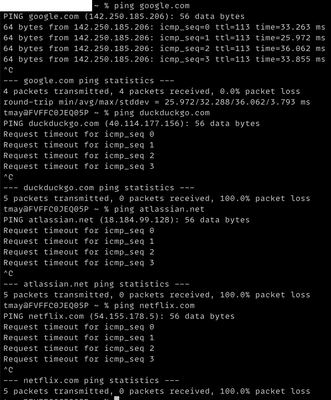 Ping &uuml;ber MacOS Terminal