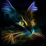 Profil (Chondaux)