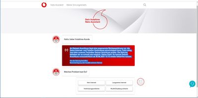 Netz-Assistent / Störungsanzeige